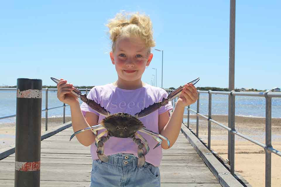 Fishing for Whiting Surprise: Blue Swimmer Crab Catch